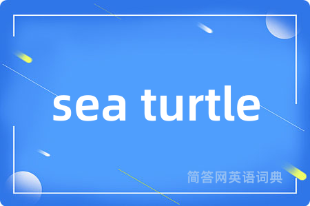 sea turtle是什么意思,sea turtle的中文翻译 sea turtle