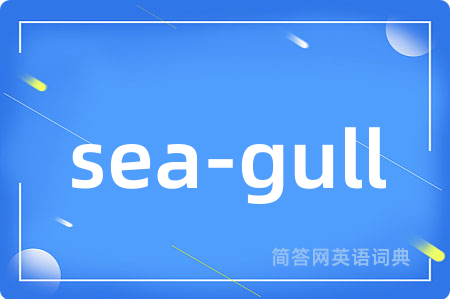 sea-gull