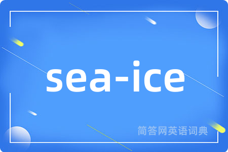 sea-ice是什么意思,sea-ice的中文翻译 sea-ice