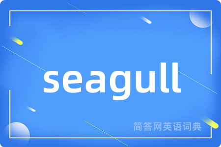seagull