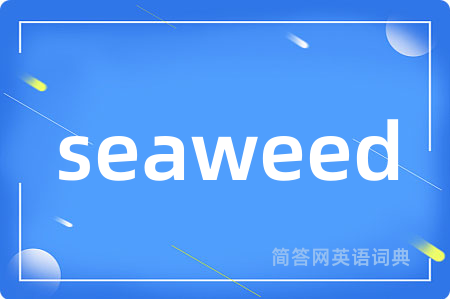 seaweed是什么意思,seaweed的中文翻译 seaweed