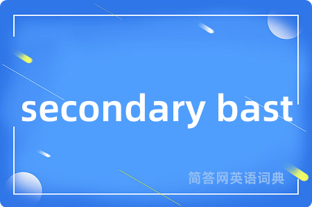 secondary bast