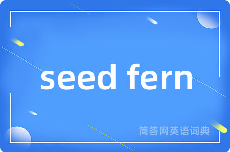 seed fern是什么意思,seed fern的中文翻译 seed fern