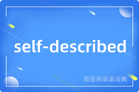 self-described是什么意思,self-described的中文翻译 self-described