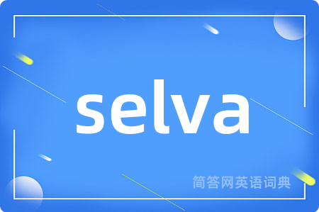 selva是什么意思,selva的中文翻译 selva