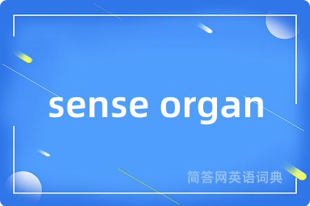 sense organ