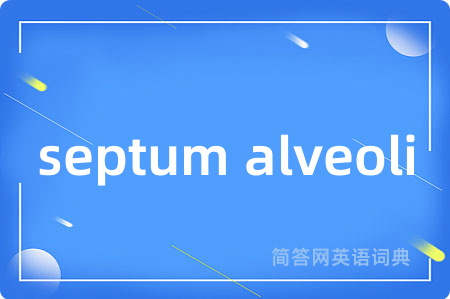 septum alveoli是什么意思,septum alveoli的中文翻译 septum alveoli