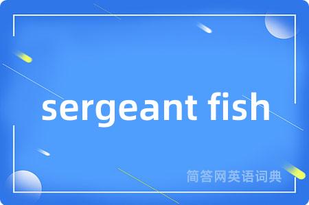 sergeant fish