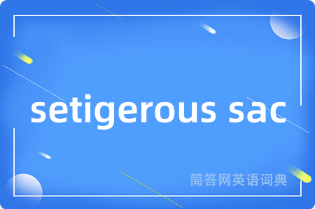 setigerous sac是什么意思,setigerous sac的中文翻译 setigerous sac