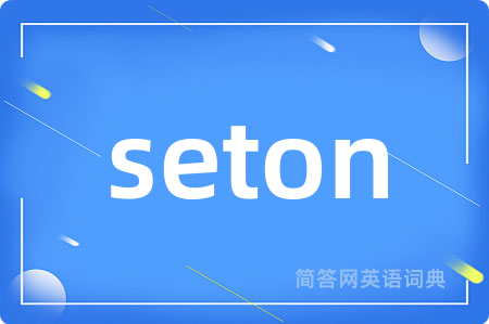 seton是什么意思,seton的中文翻译 seton