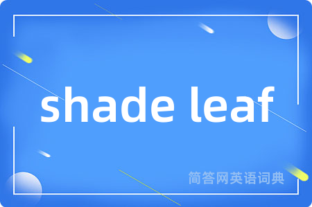 shade leaf是什么意思,shade leaf的中文翻译 shade leaf