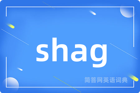 shag是什么意思,shag的中文翻译 shag