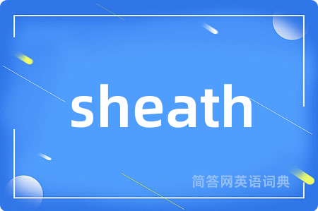 sheath是什么意思,sheath的中文翻译 sheath