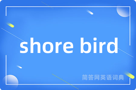 shore bird
