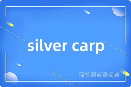 silver carp