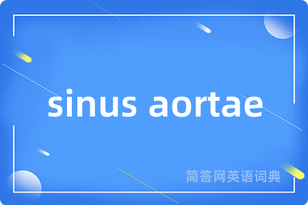 sinus aortae是什么意思,sinus aortae的中文翻译 sinus aortae