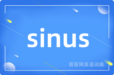 sinus