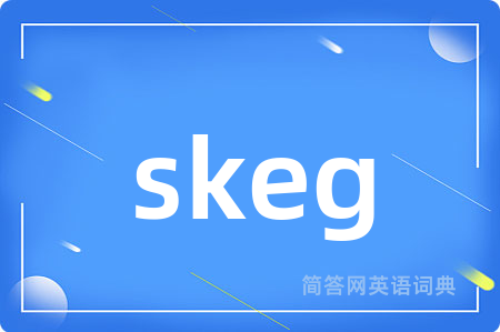 skeg是什么意思,skeg的中文翻译 skeg