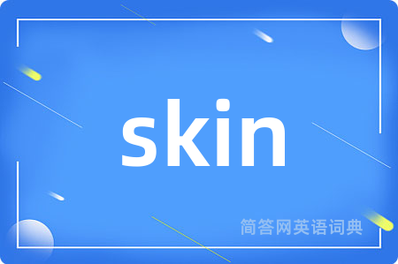 skin是什么意思,skin的中文翻译 skin