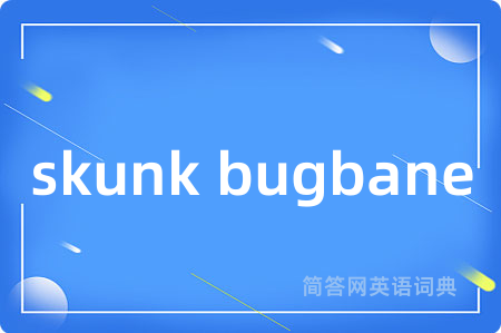 skunk bugbane