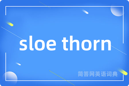 sloe thorn是什么意思,sloe thorn的中文翻译 sloe thorn