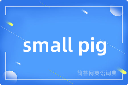 small pig