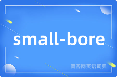 small-bore是什么意思,small-bore的中文翻译 small-bore