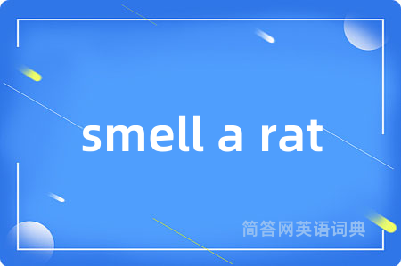 smell a rat