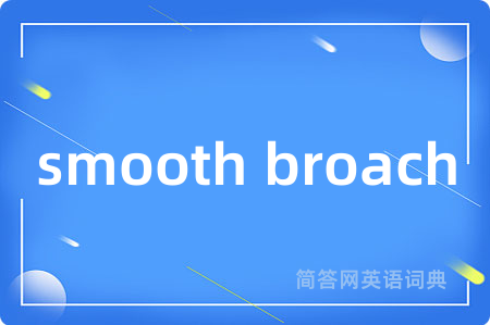 smooth broach是什么意思,smooth broach的中文翻译 smooth broach