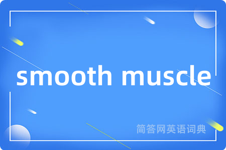 smooth muscle
