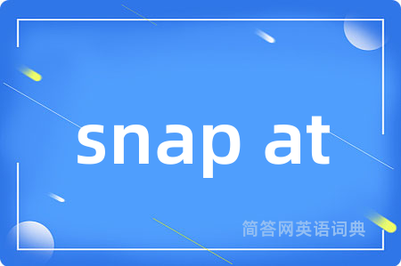 snap at