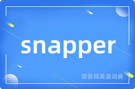 snapper是什么意思,snapper的中文翻译 snapper