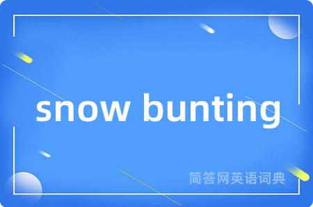 snow bunting是什么意思,snow bunting的中文翻译 snow bunting