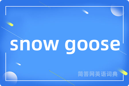 snow goose是什么意思,snow goose的中文翻译 snow goose
