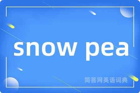 snow pea是什么意思,snow pea的中文翻译 snow pea
