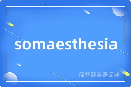 somaesthesia是什么意思,somaesthesia的中文翻译 somaesthesia
