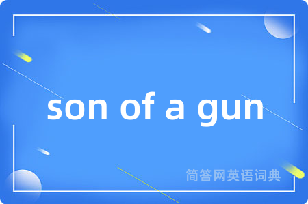 son of a gun是什么意思,son of a gun的中文翻译 son of a gun