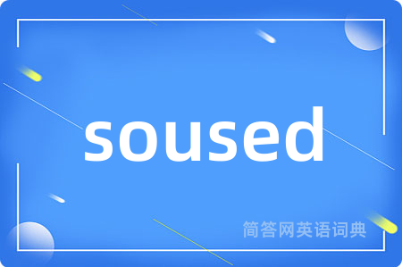 soused是什么意思,soused的中文翻译 soused