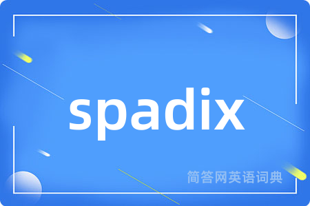 spadix是什么意思,spadix的中文翻译 spadix