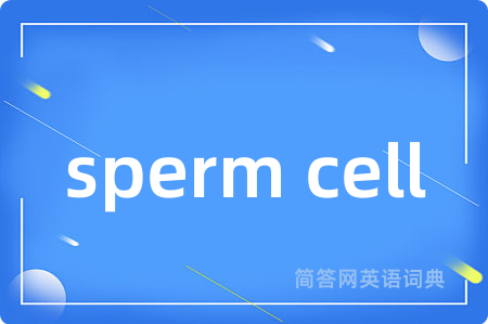 sperm cell是什么意思,sperm cell的中文翻译 sperm cell