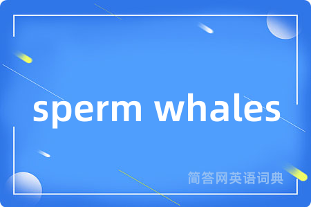 sperm whales