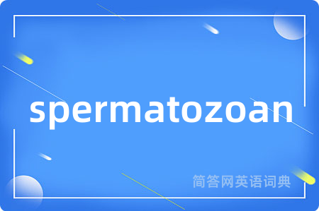 spermatozoan是什么意思,spermatozoan的中文翻译 spermatozoan