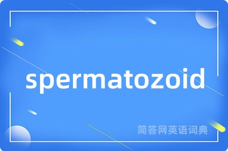 spermatozoid是什么意思,spermatozoid的中文翻译 spermatozoid
