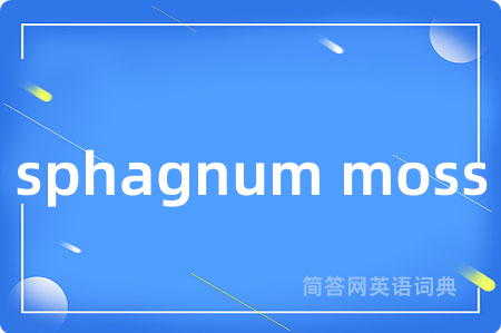 sphagnum moss
