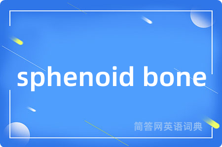 sphenoid bone