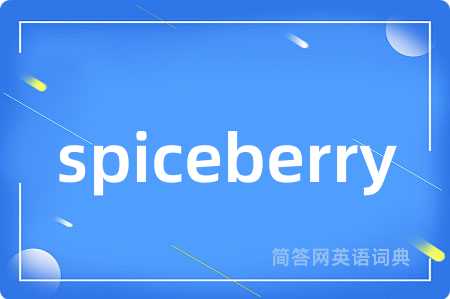 spiceberry是什么意思,spiceberry的中文翻译 spiceberry