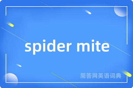 spider mite是什么意思,spider mite的中文翻译 spider mite