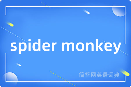 spider monkey是什么意思,spider monkey的中文翻译 spider monkey