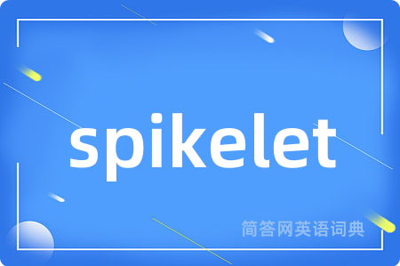 spikelet是什么意思,spikelet的中文翻译 spikelet