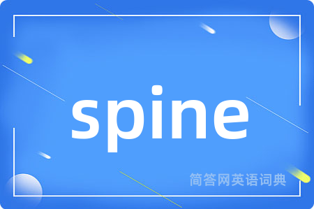 spine是什么意思,spine的中文翻译 spine